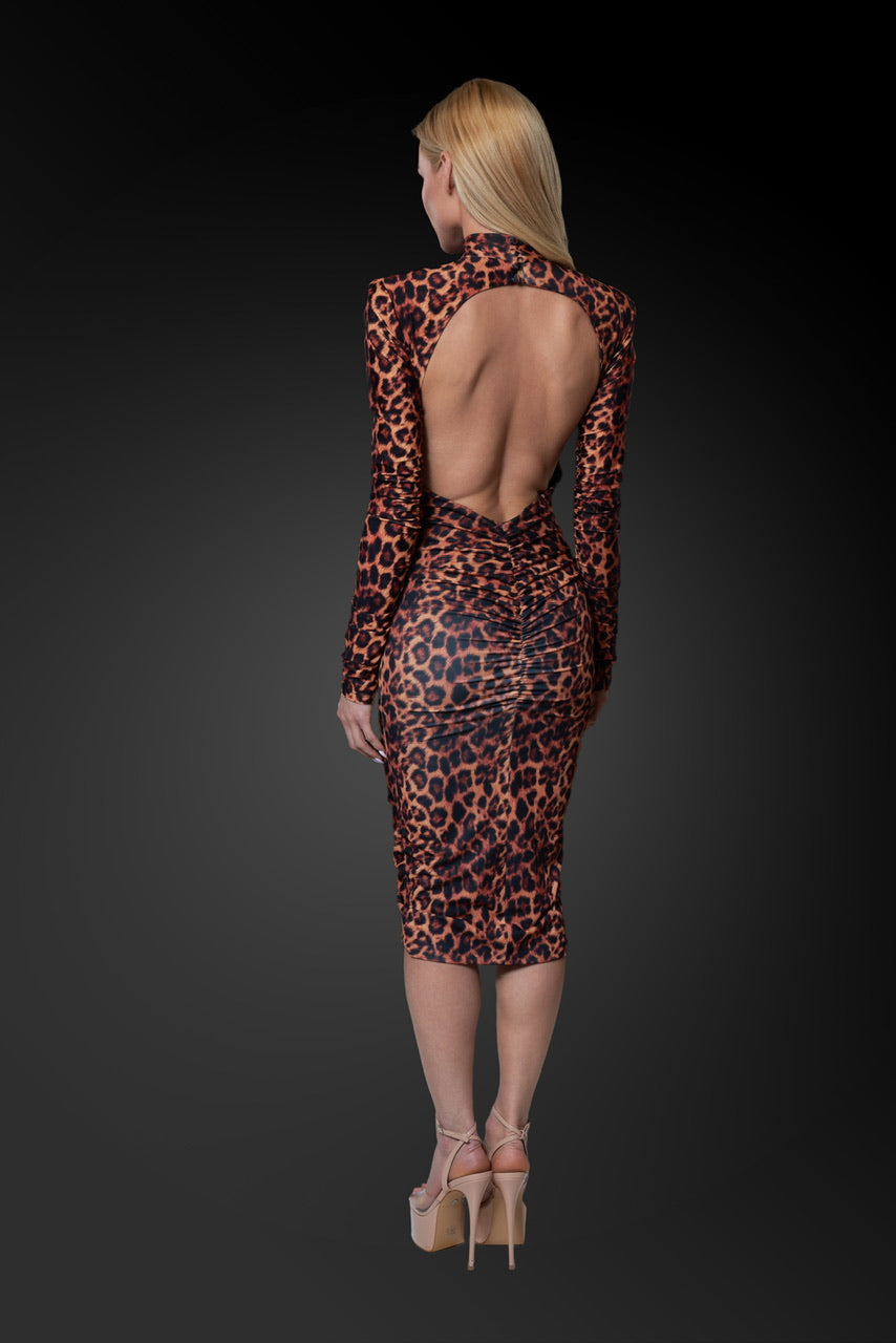 LEOPARDO CORTO